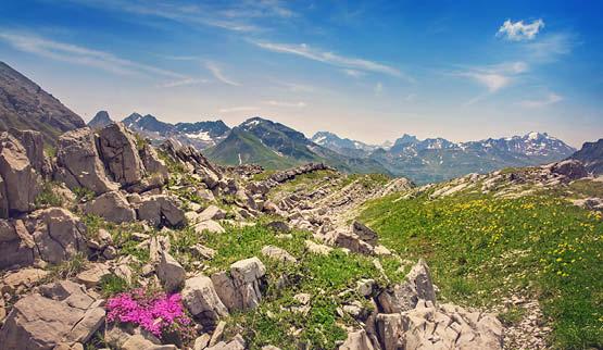 Aandachtstrekker Vorarlberg
